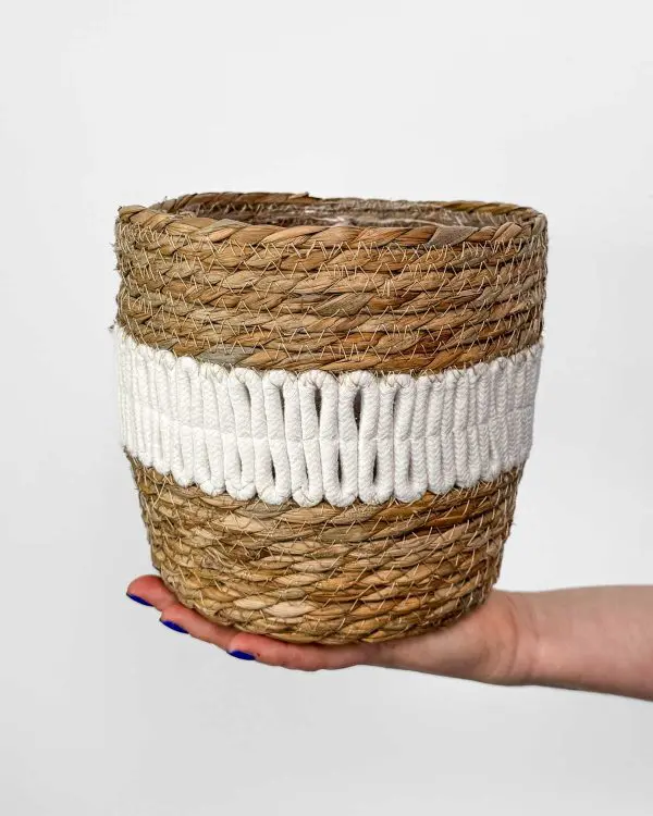 Košík s bílými vlnkami (L) - 17 cm