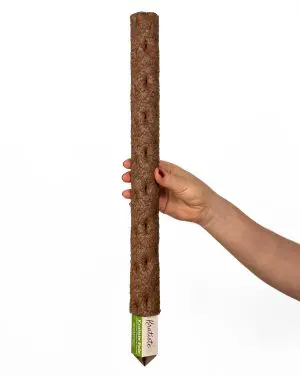 Kratiste přírodní opora (M) - 50 cm