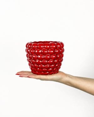 Malina květináč (M) - 11cm