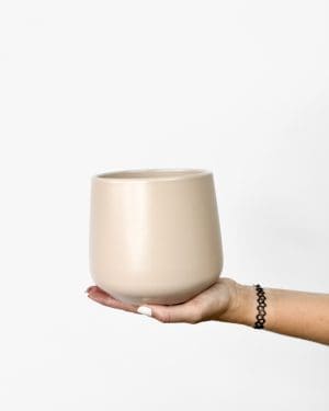 Amber růžový květináč (M) - 12,5cm