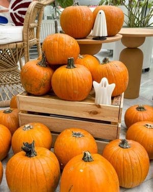 Dýně na Halloween (Halloweenská dýně)