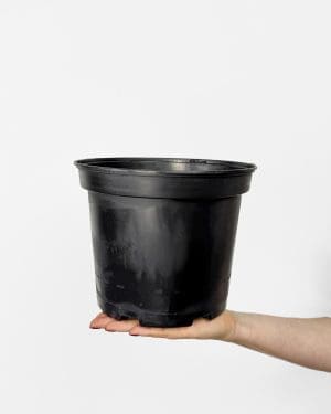 Sadbový květináč (několik velikostí) - 23 cm