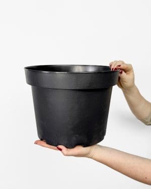 Sadbový květináč (několik velikostí) - 29 cm