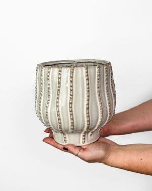 Meringa květináč (L) - 15,5 cm