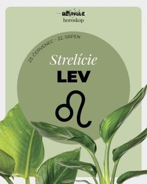 Dárek - Horoskop rostlina: Lev (Strelície)