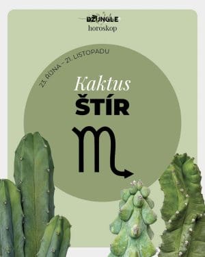 Dárek - Horoskop rostlina: Štír (Kaktus)