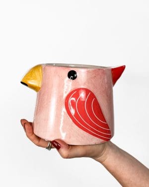 Papoušek růžový květináč (M) - 11,5 cm