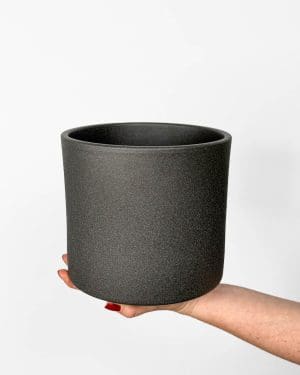 Klasický šedý květináč (L) - 17,5 cm