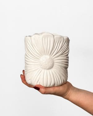 Sedmikráska květináč (M) – 12 cm