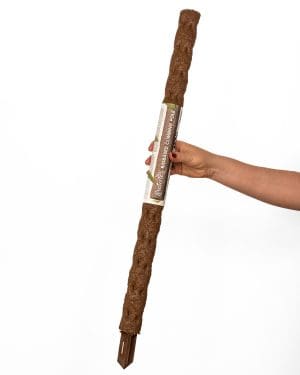 Kratiste přírodní opora (L) - 75 cm