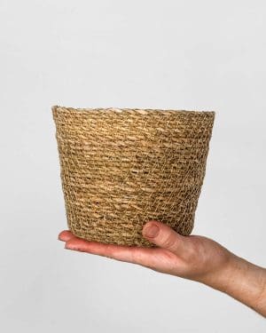 Pletený koš natur (M) - 14 cm