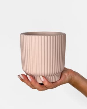 Pruhovaný lila květináč (M) - 10,5 cm