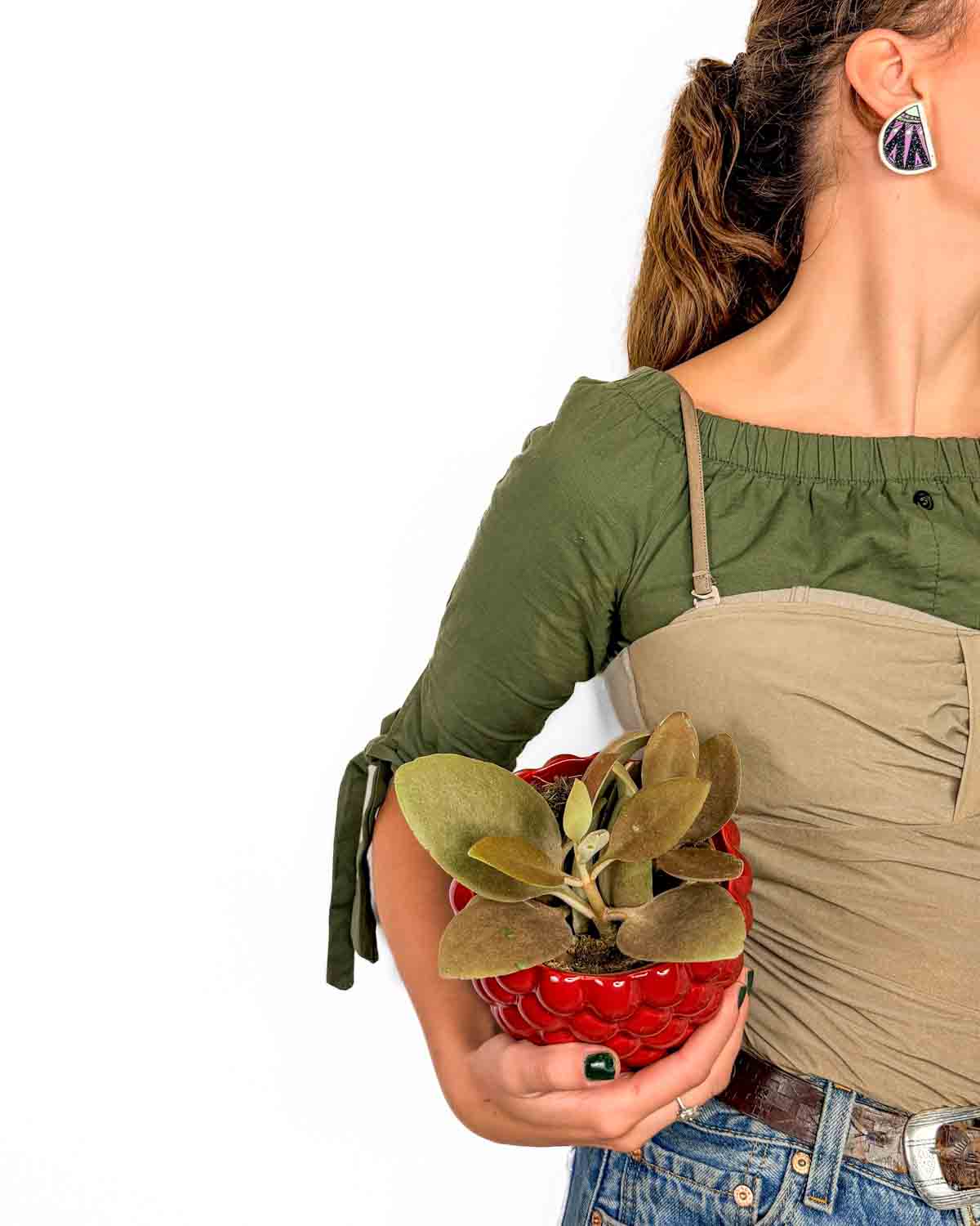 Kalanchoe 'Copper Spoons' (Kalanchoe orgyalis) (M)