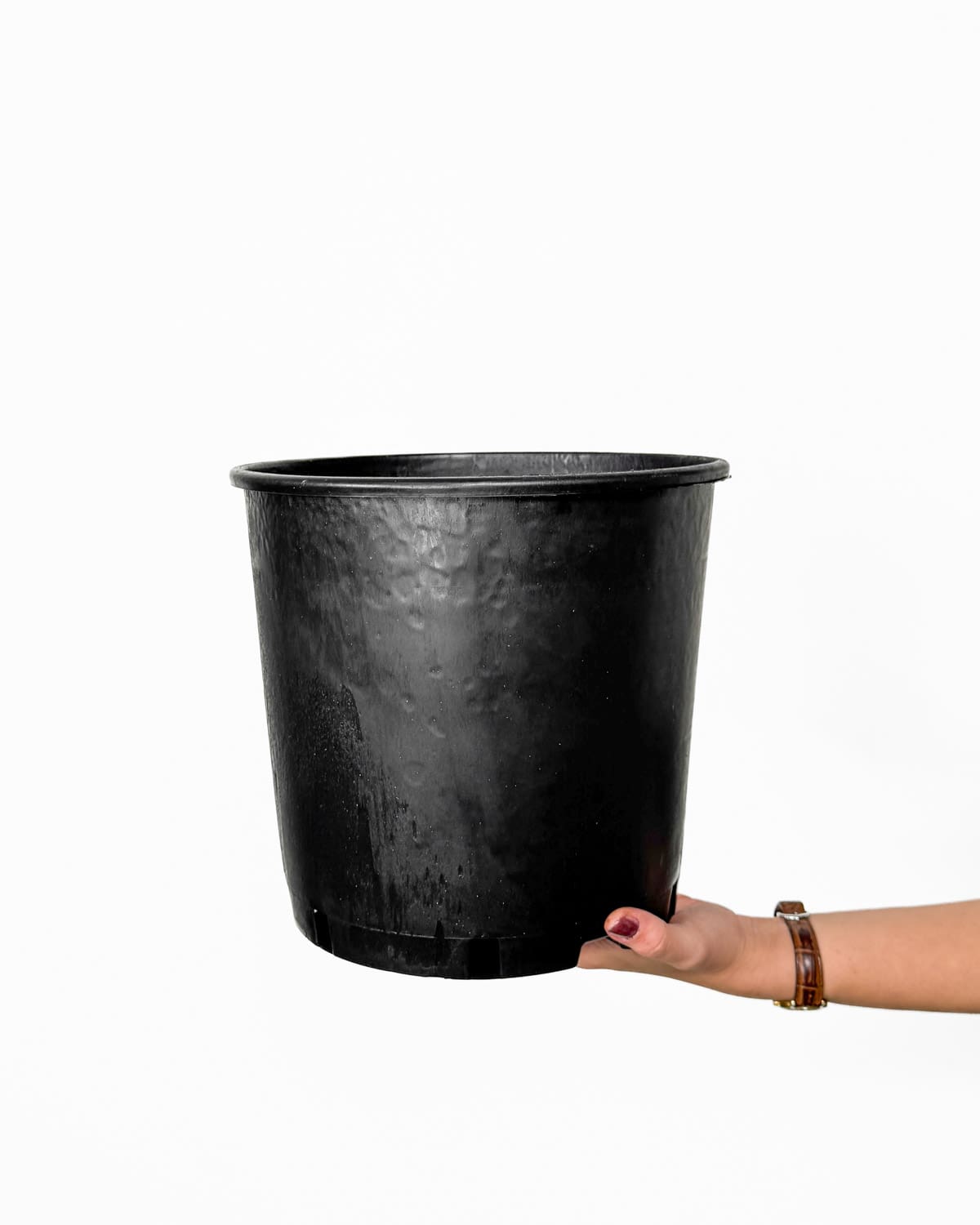 Sadbový květináč - 25,5 cm