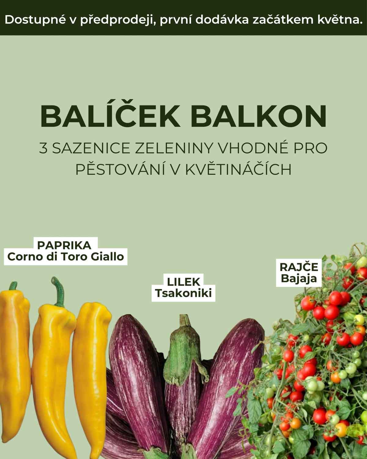 Balíček Balkon (3 sazenice zeleniny vhodné pro pěstování v květináčích)