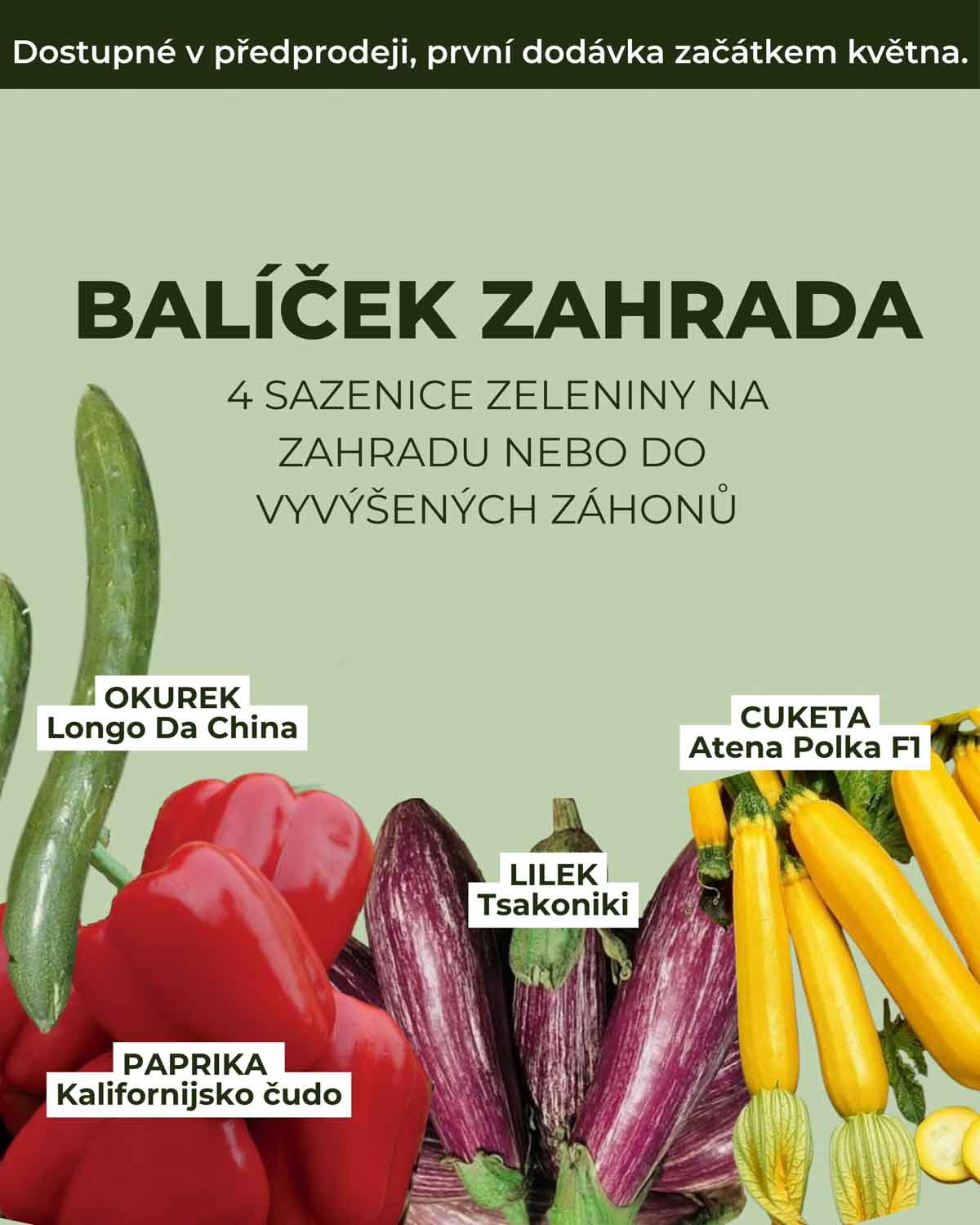Balíček Zahrada (4 sazenice zeleniny na zahradu)