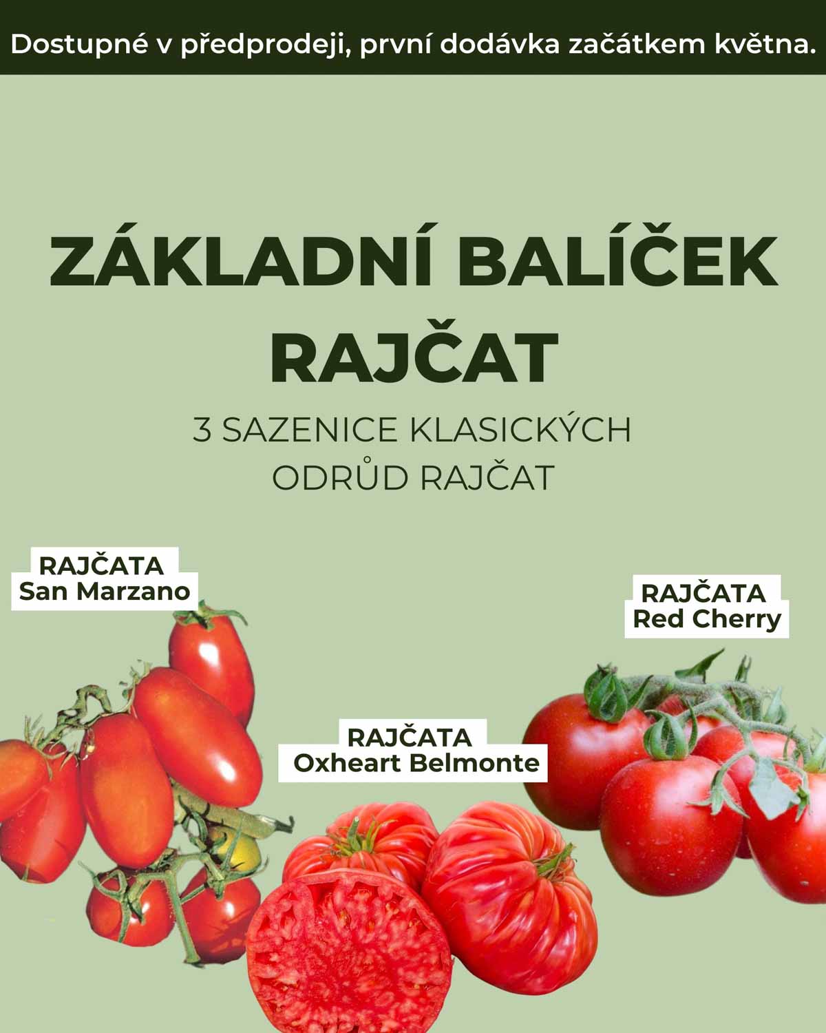 Základní balíček rajčat - (3 sazenice klasických odrůd)
