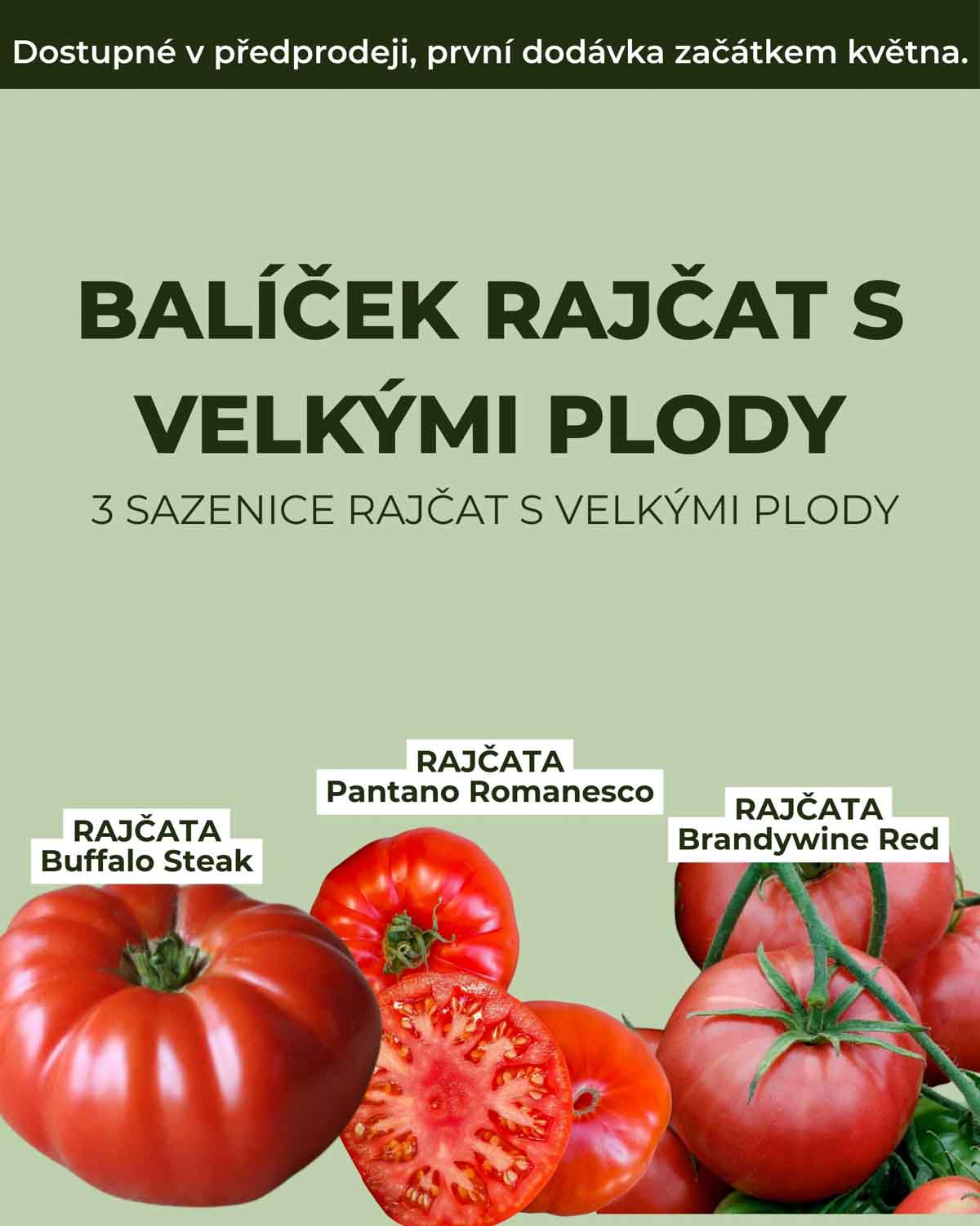 Balíček rajčat s velkými plody (3 sazenice s velkými plody)