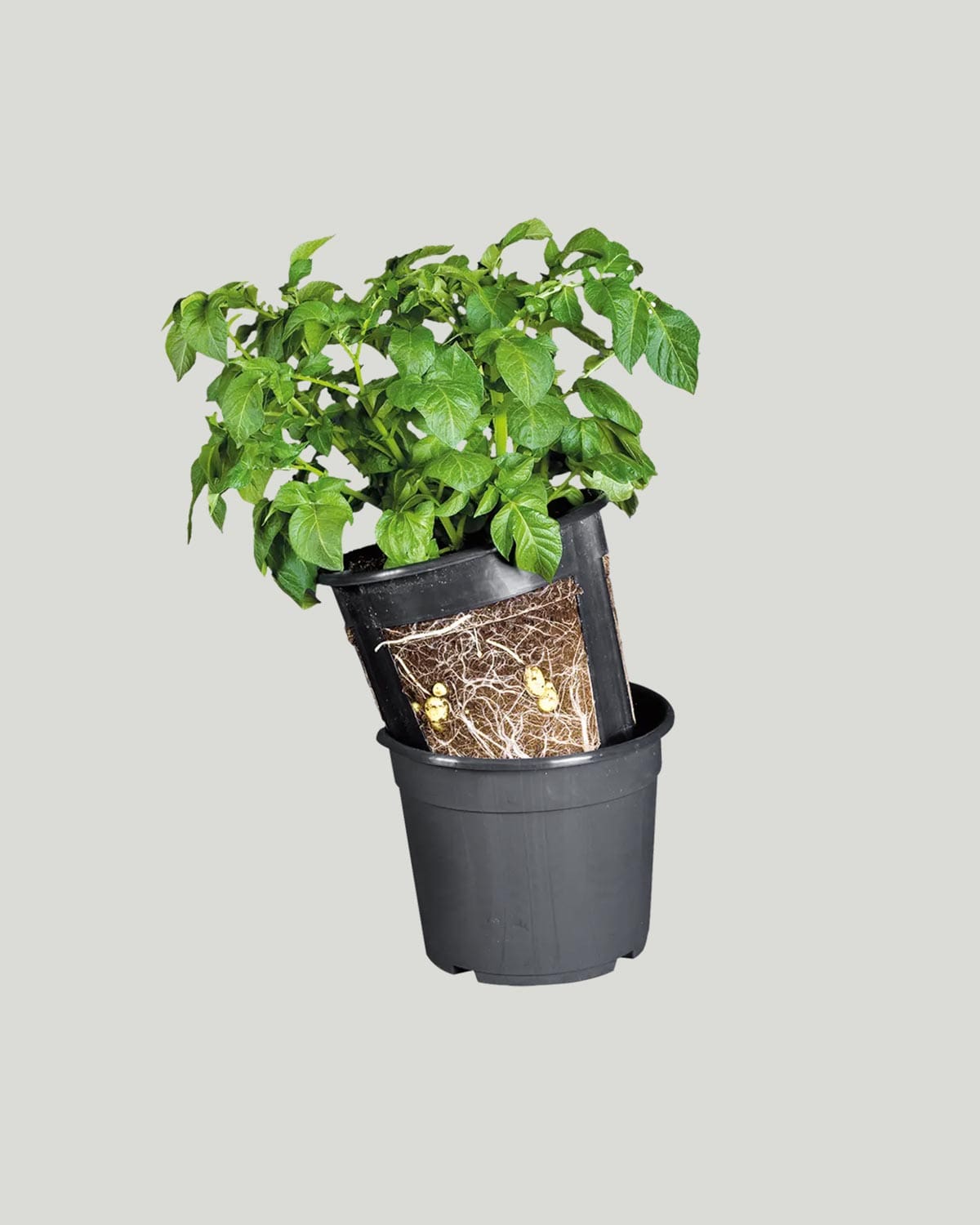 Květináč na pěstování brambor - 30 cm